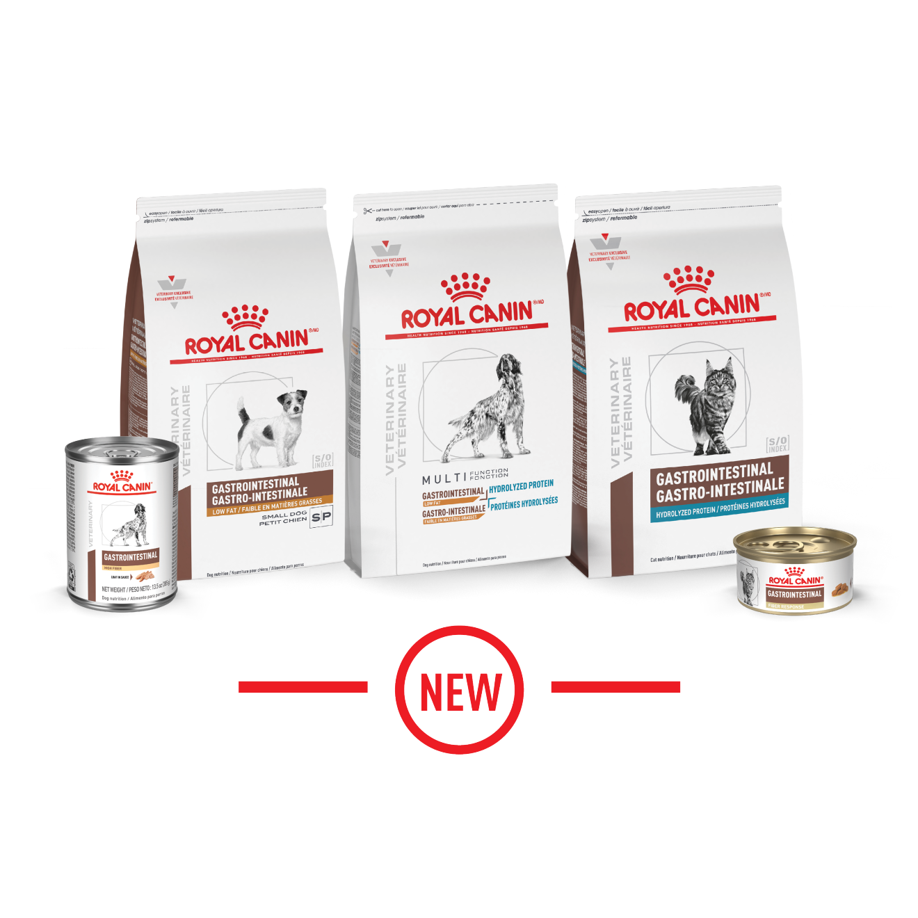 Royal Canin Gastrointestinal diets for cats and dogs. 