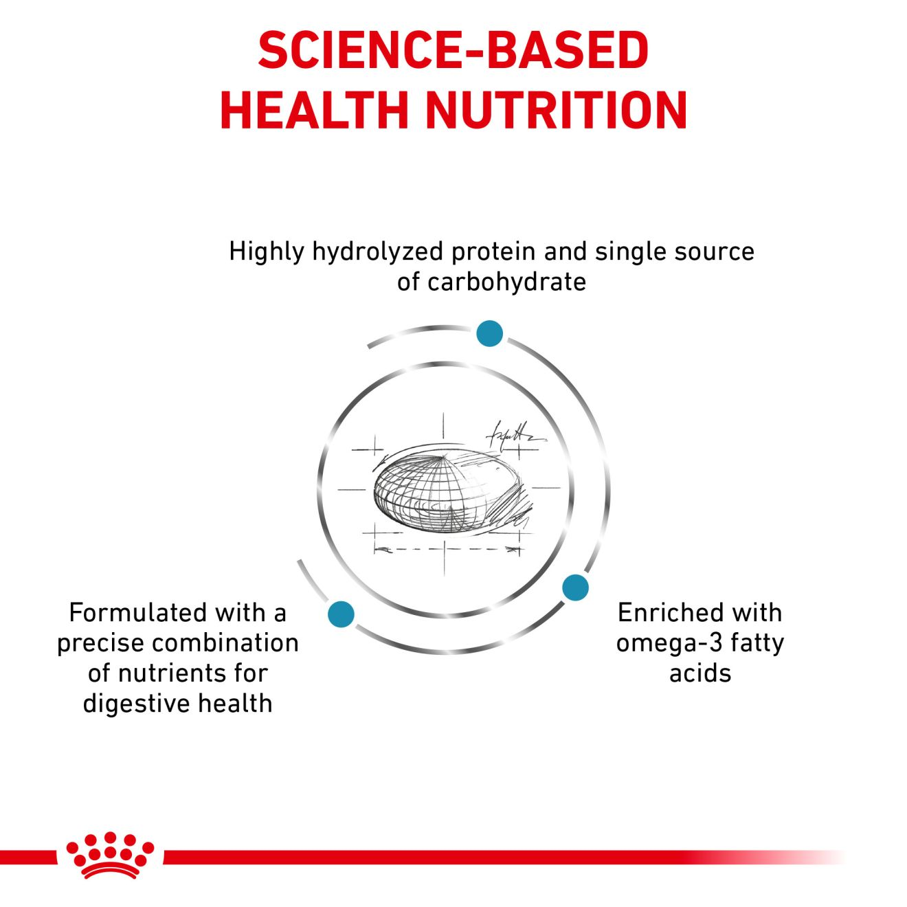 Royal canin hydrolyzed protein feeding guide sale