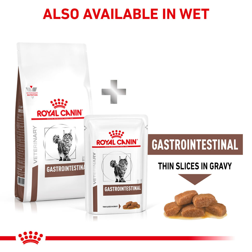 Gastrointestinal