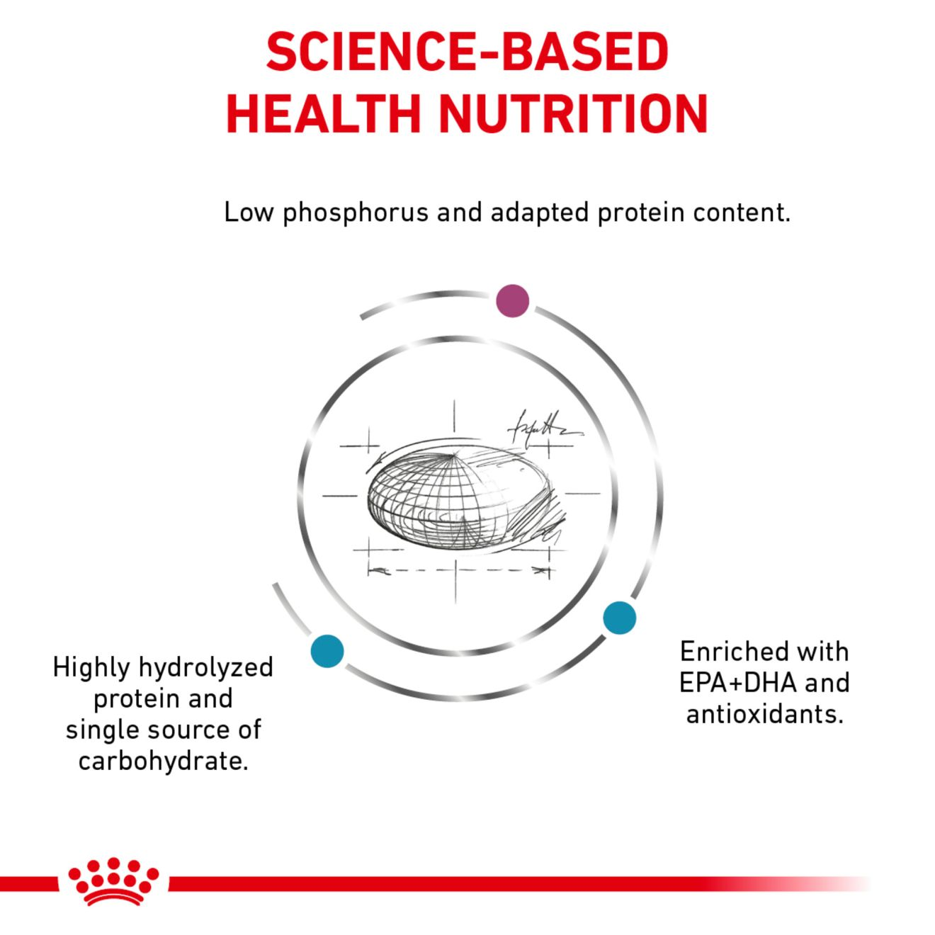 Royal canin multifunction renal support and hydrolyzed protein hot sale dog