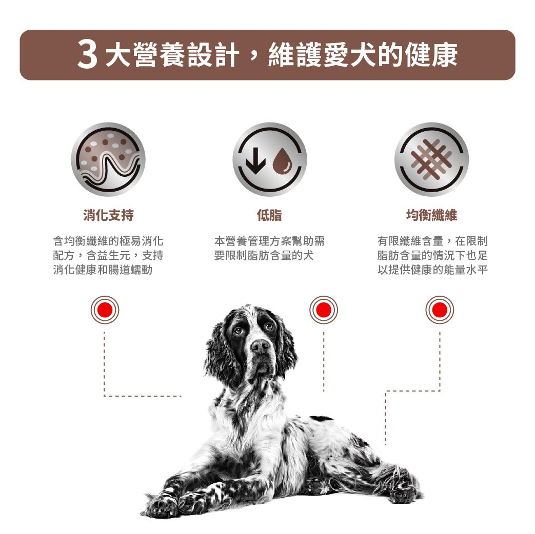 成犬腸胃低脂處方