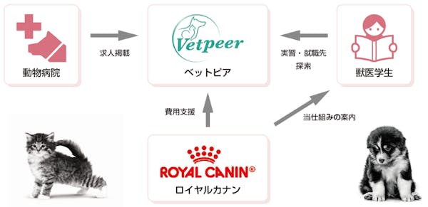 397-japan-local-ca-vet-student