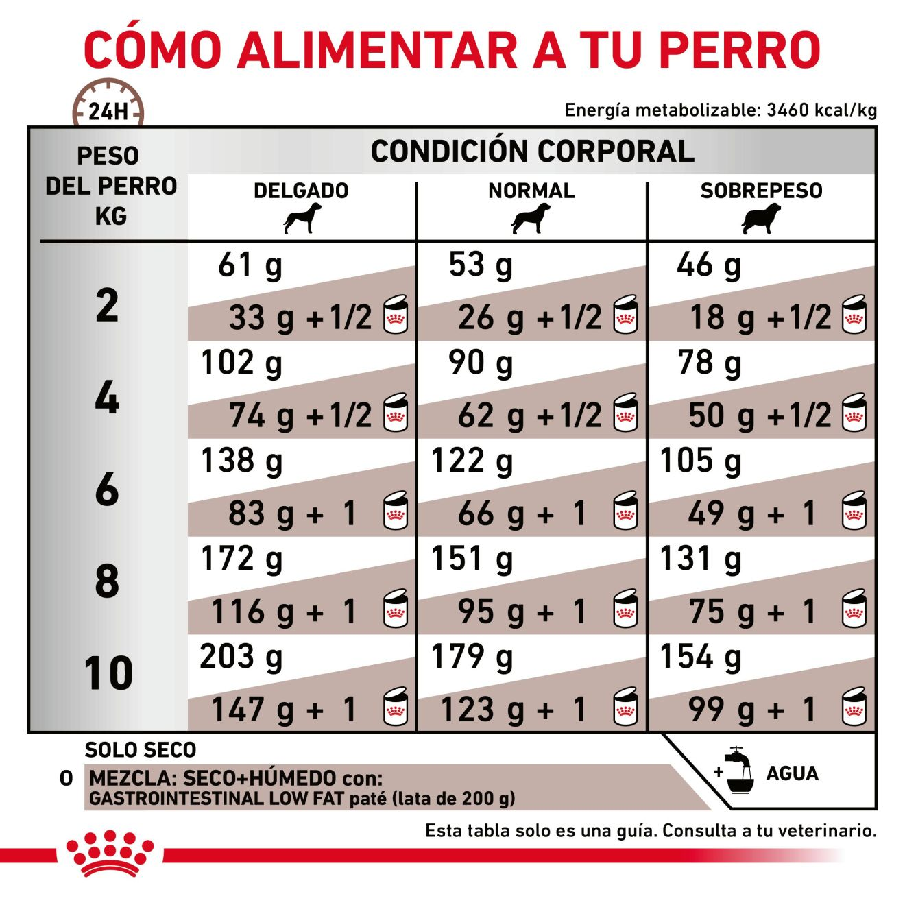 Gastrointestinal Low Fat Small Dog