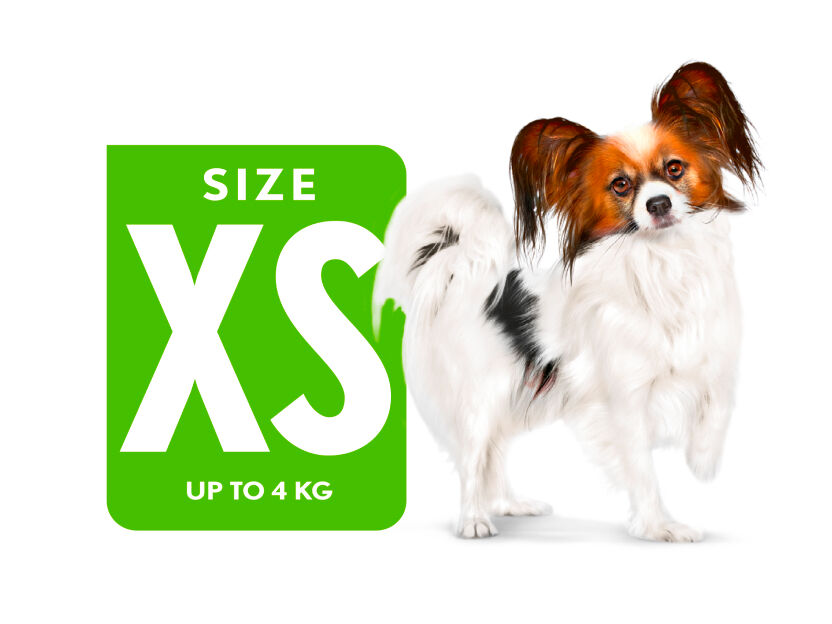 X-Small Size label SHN Illustration