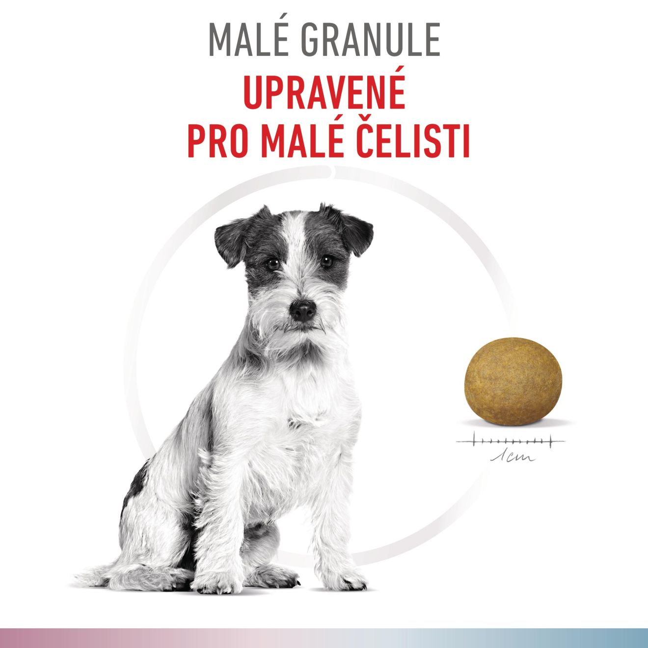 VHN Dog CA Renal-Hypoallergenic Small