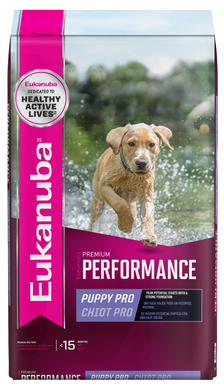 Eukanuba 30 20 premium performance best sale