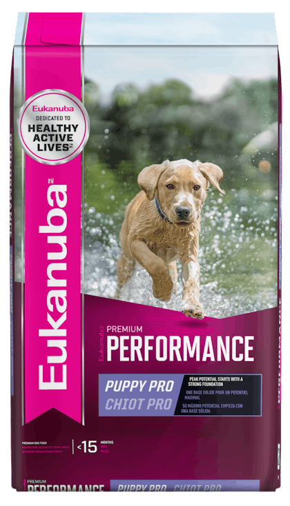 Exclusive performance hotsell dog food