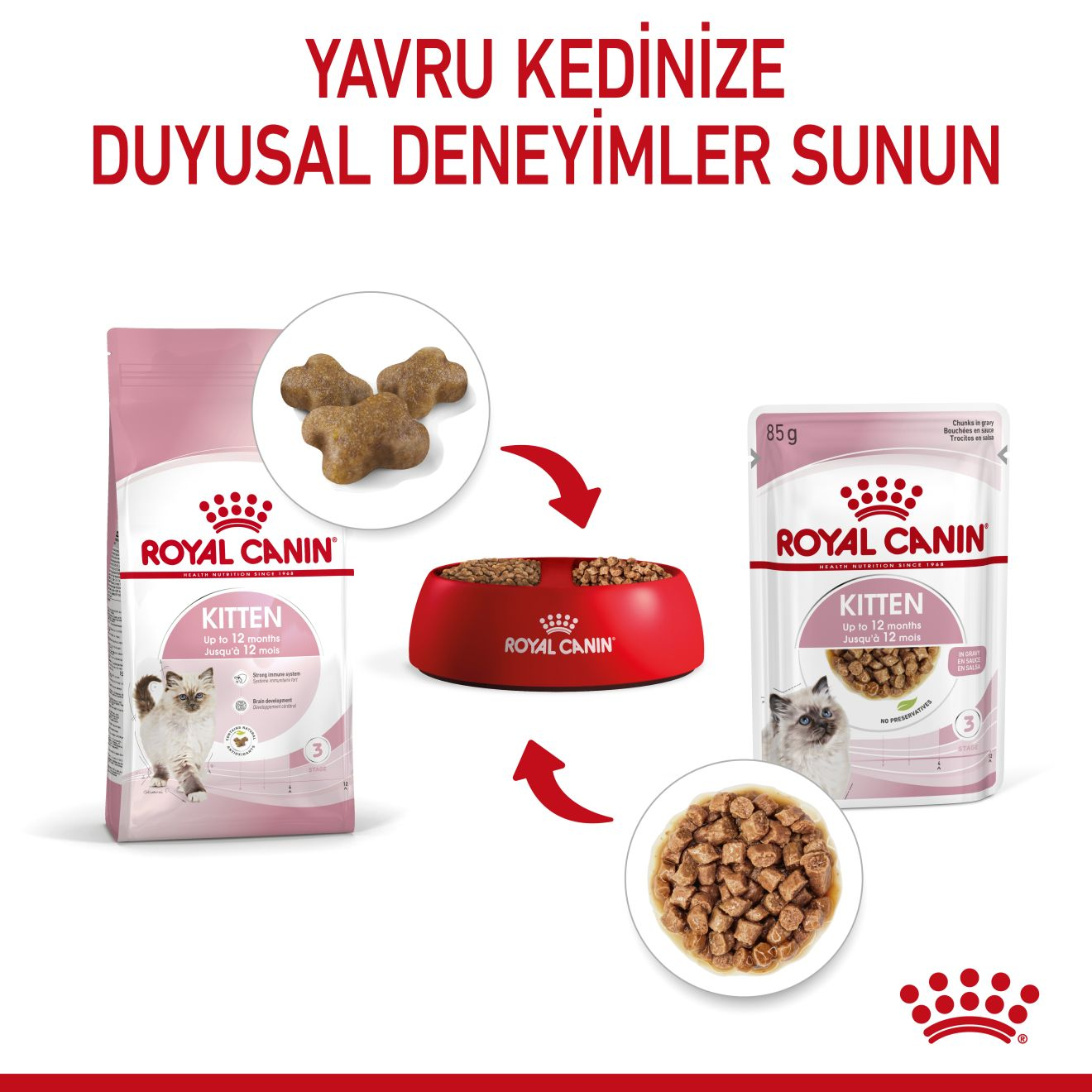 Kitten Gravy Yavru Kedi Yaş Maması