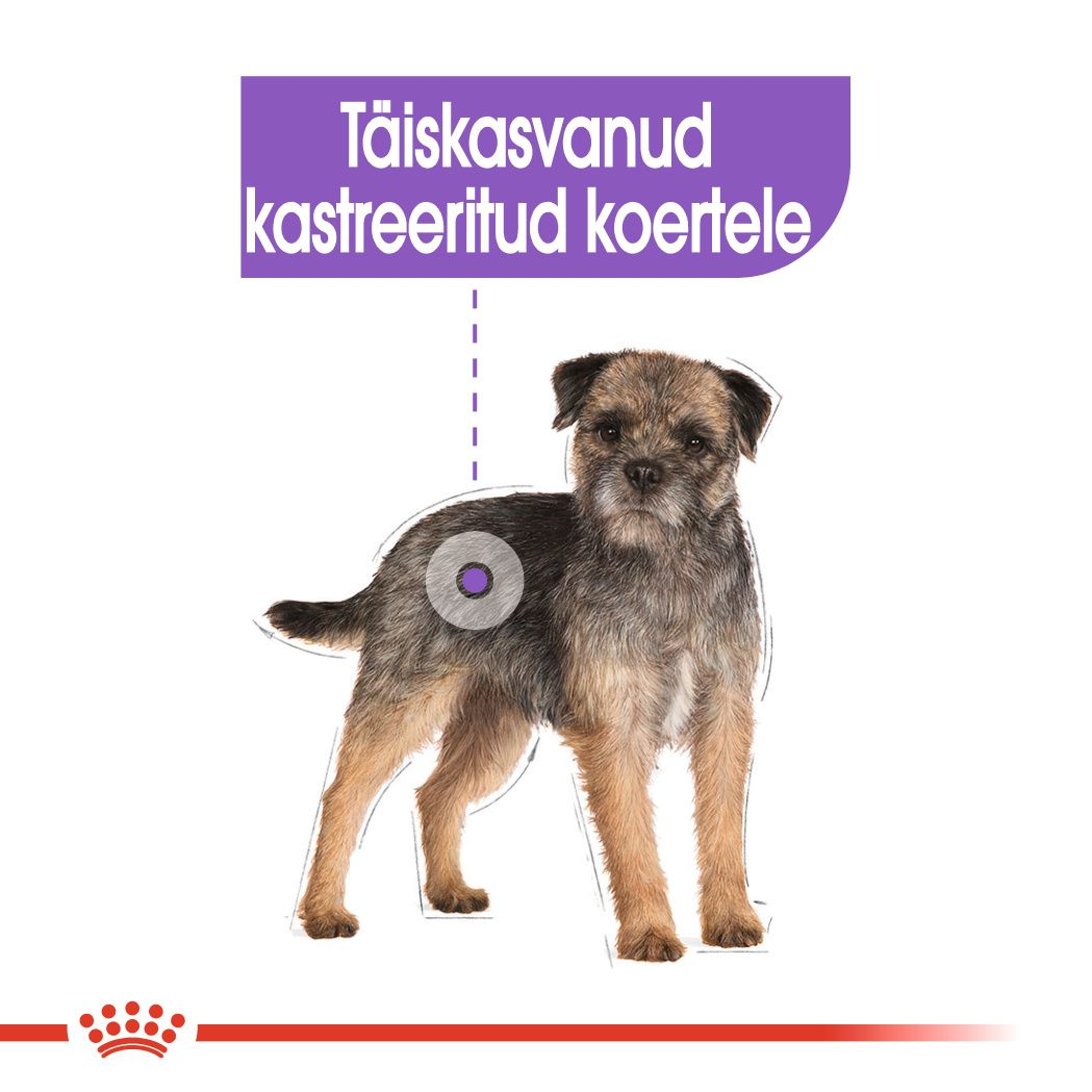 Royal Canin Sterilised konserv (pasteet)