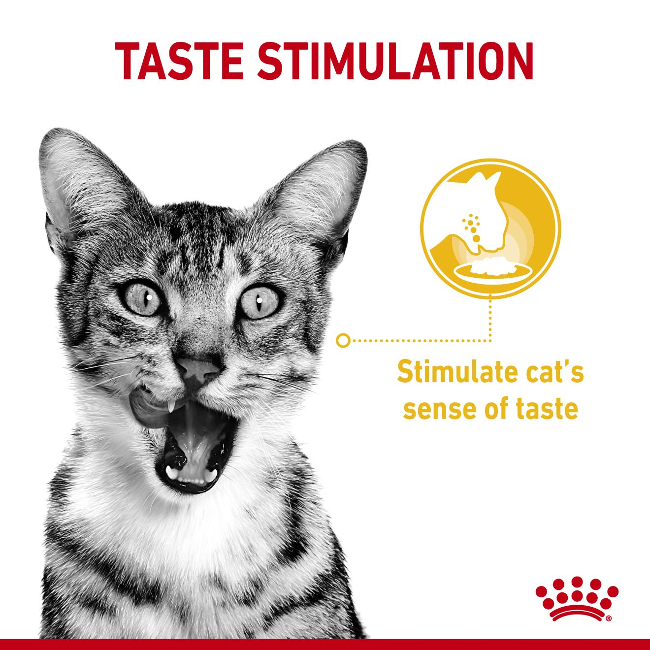 อาหารแมวโตช่างเลือก กระตุ้นการกินด้วยรสชาติเฉพาะ ชนิดเปียก (SENSORY™ TASTE Chunks in gravy)