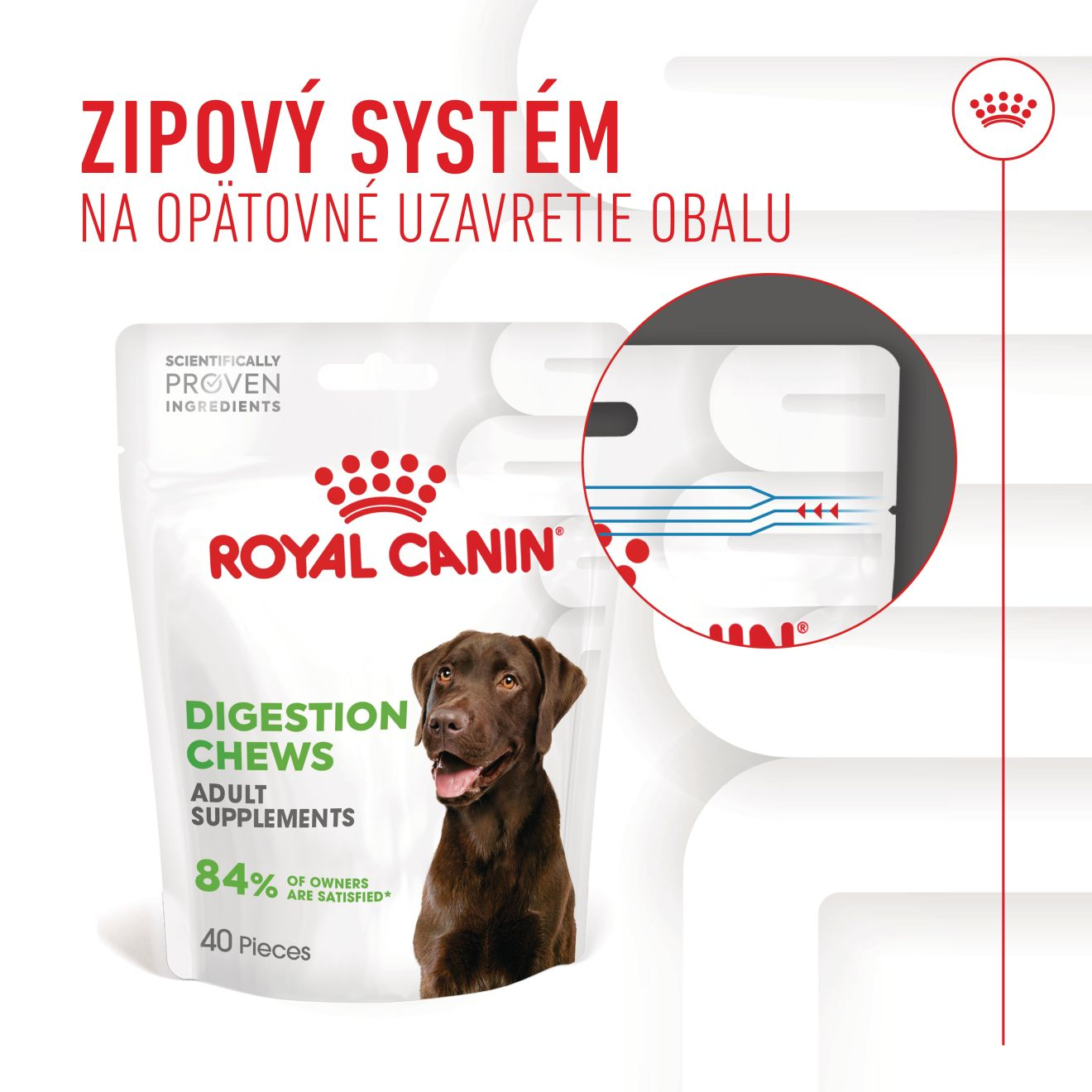 Supplements Dog Digestion chews