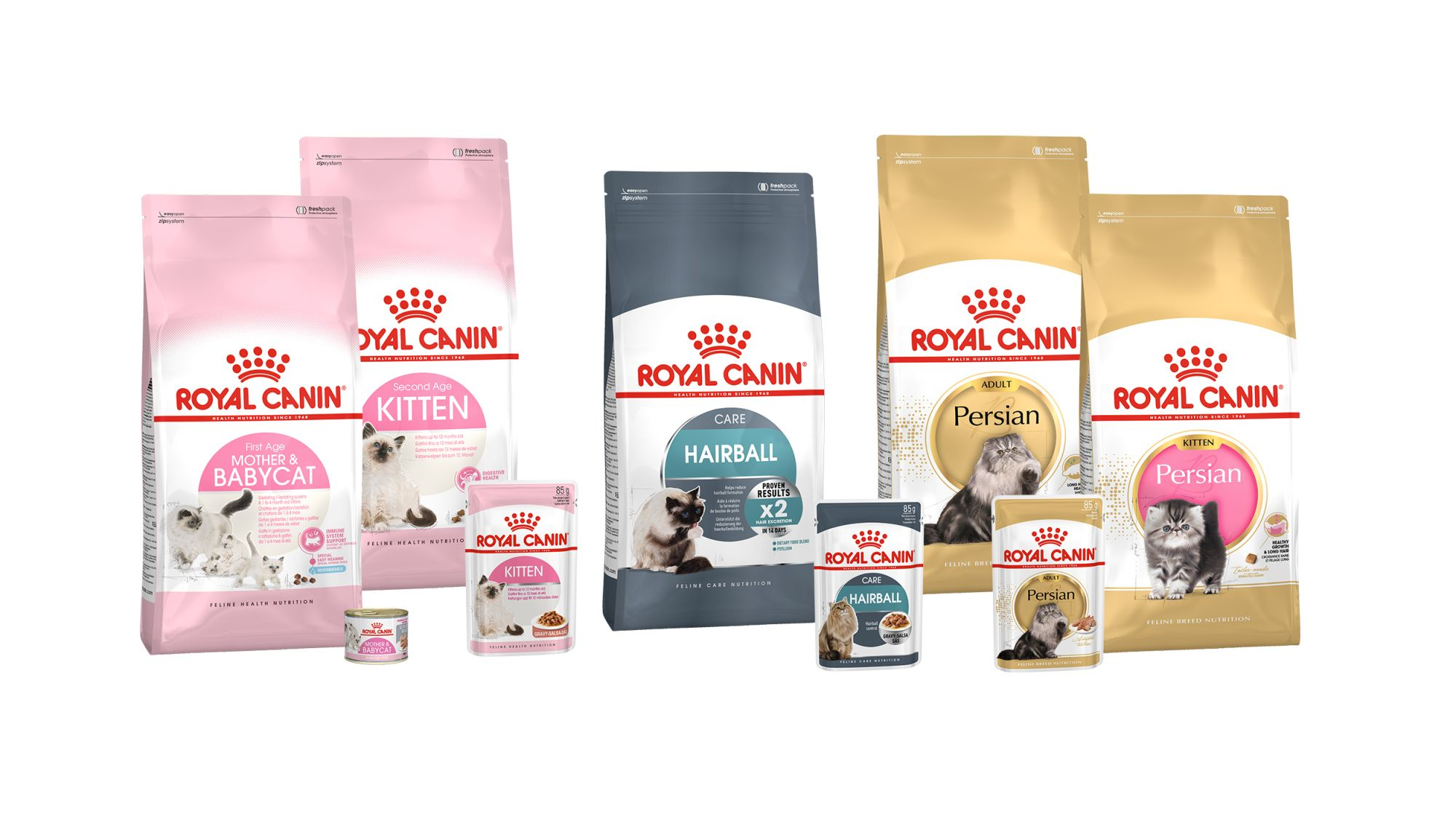 food for your cat