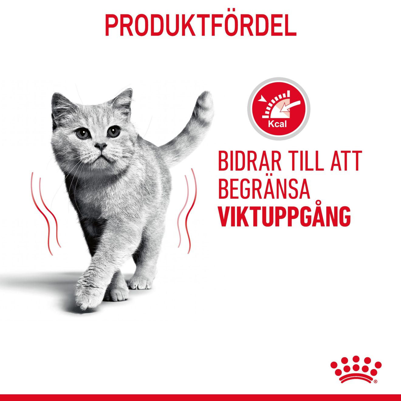 Light Weight Care Jelly Adult 