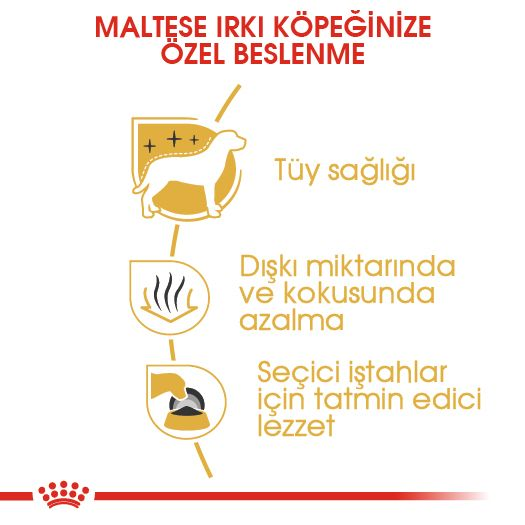 Maltese Adult Yetişkin Köpek Kuru Maması