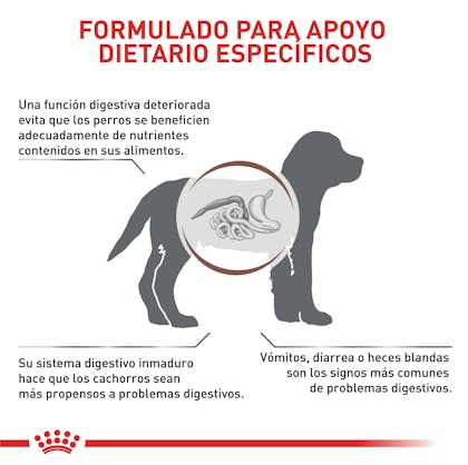 VHN GASTROINTESTINAL PUPPY COLOMBIA 3