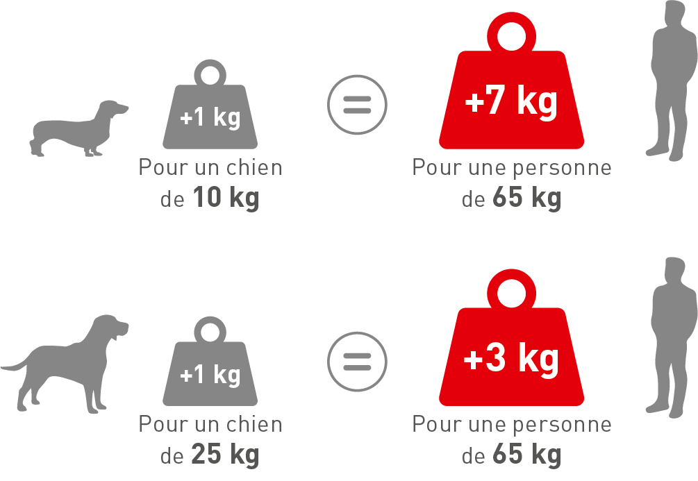 Content Block With Text And Image 13