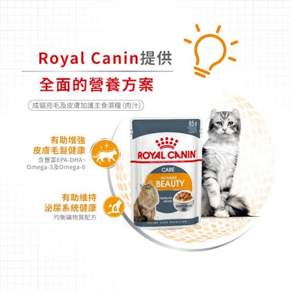 Royal-Canin_成貓亮毛及皮膚加護主食濕糧_正方形_HK_03
