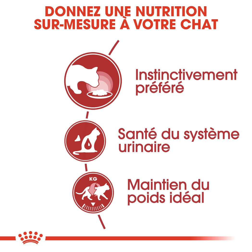 Instinctive Jelly (émincés en gelée)