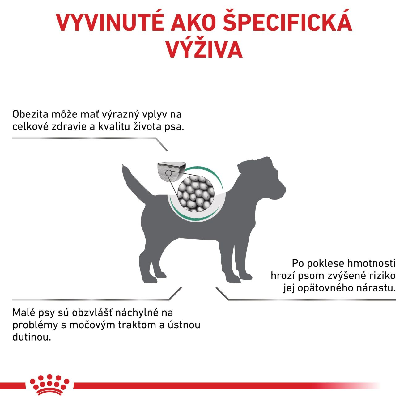 VHN Dog Satiety Weight Management Small Dog