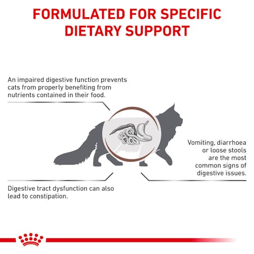 Gastrointestinal Fibre Response