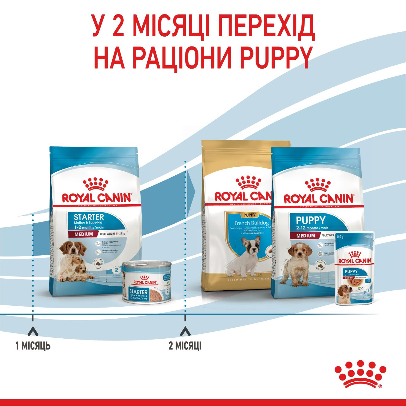 Starter Mother & Babydog - Medium