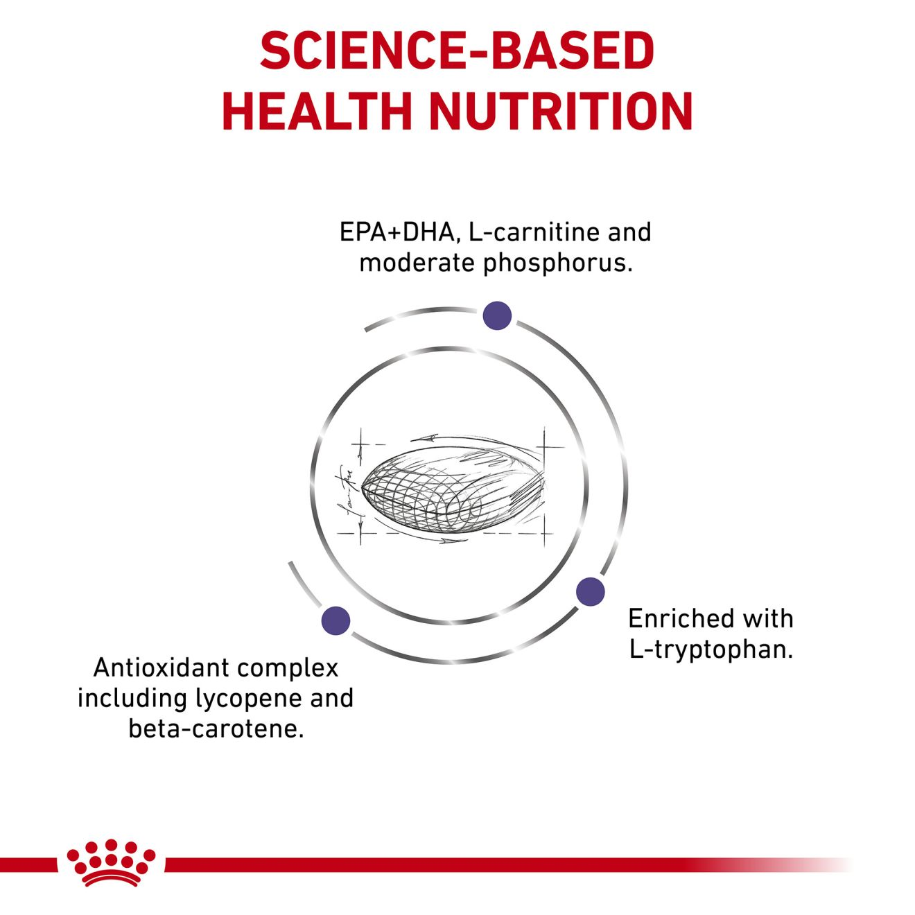 Canine   Mature Consult Large Dog