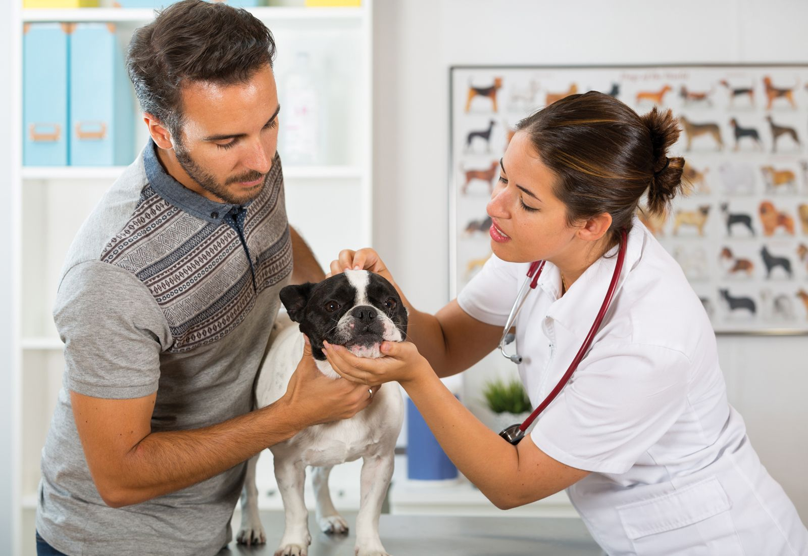 Figure 6. Un examen complet inclut des commentaires, un résumé des prescriptions et un accord à propos du traitement et des examens complémentaires