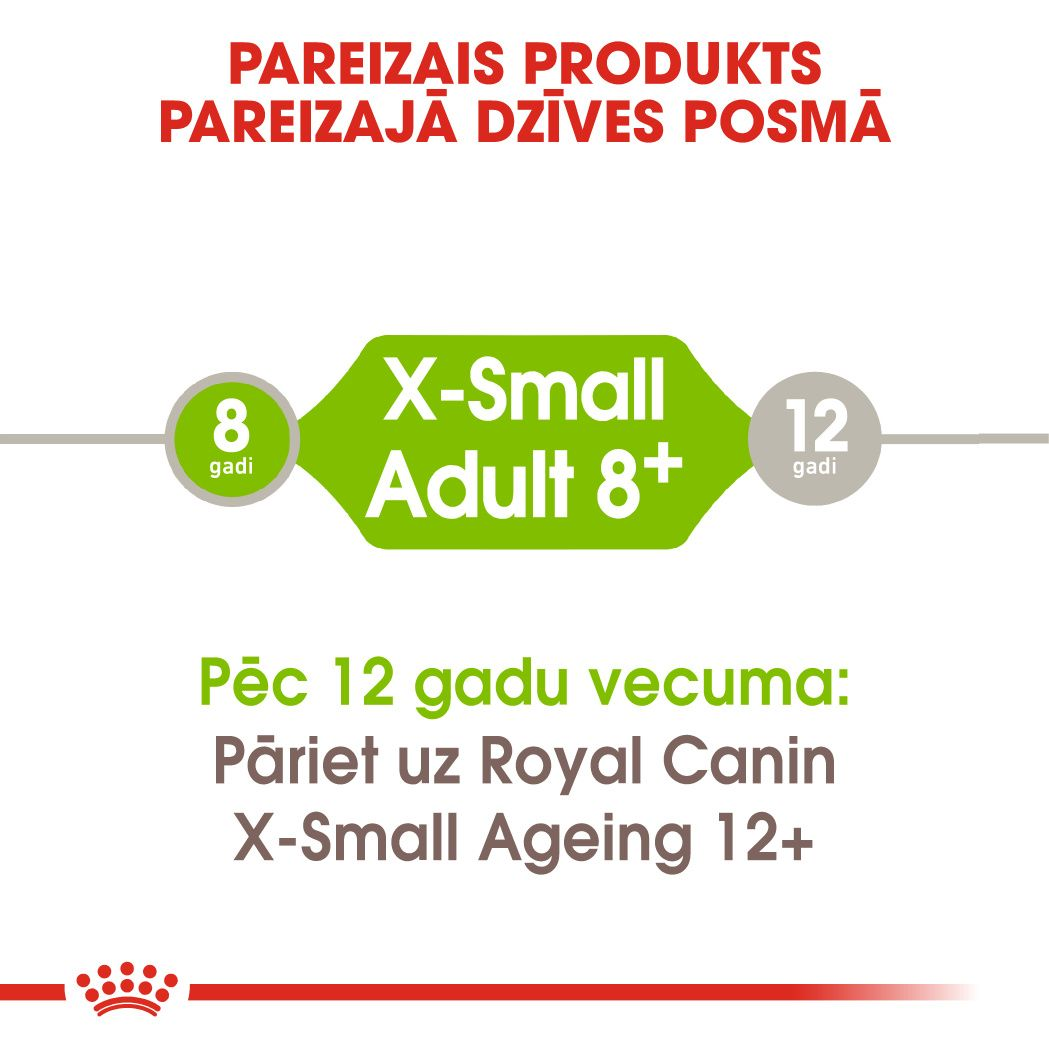 X-Small Adult 8+