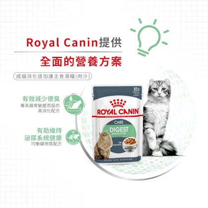 Royal-Canin-_成貓消化道加護主食濕糧（肉汁）_正方形_HK_03