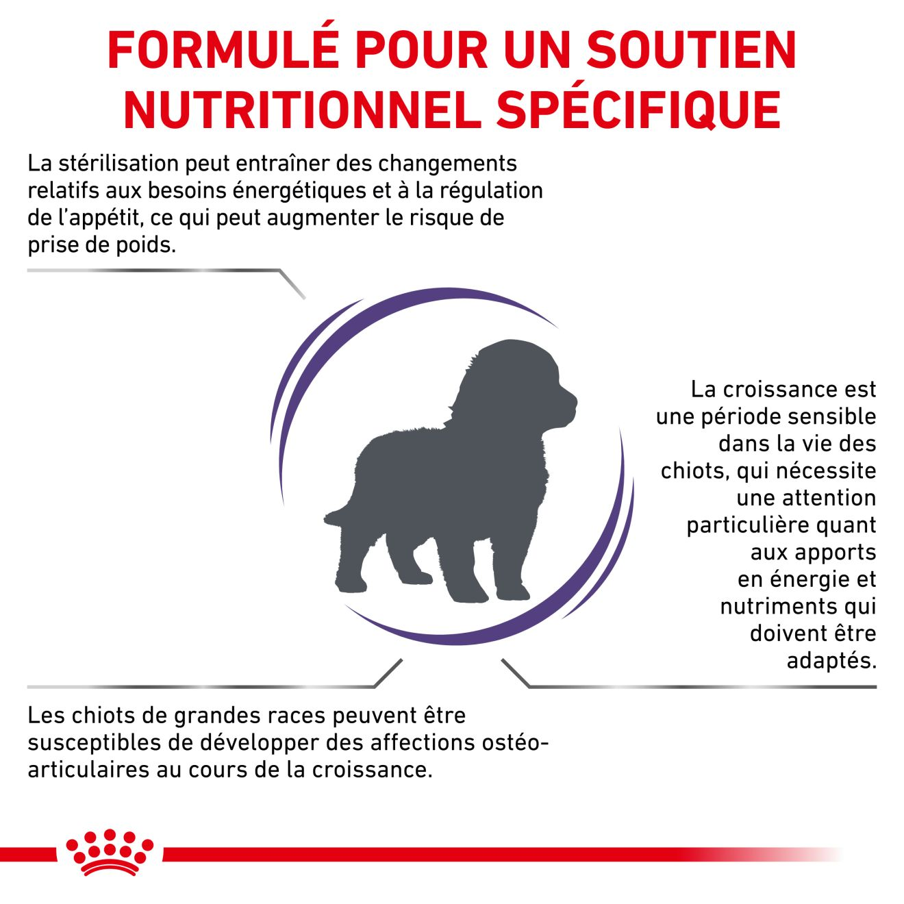 Croquettes pour chiots st rilis s de 25 kg Boutique Royal