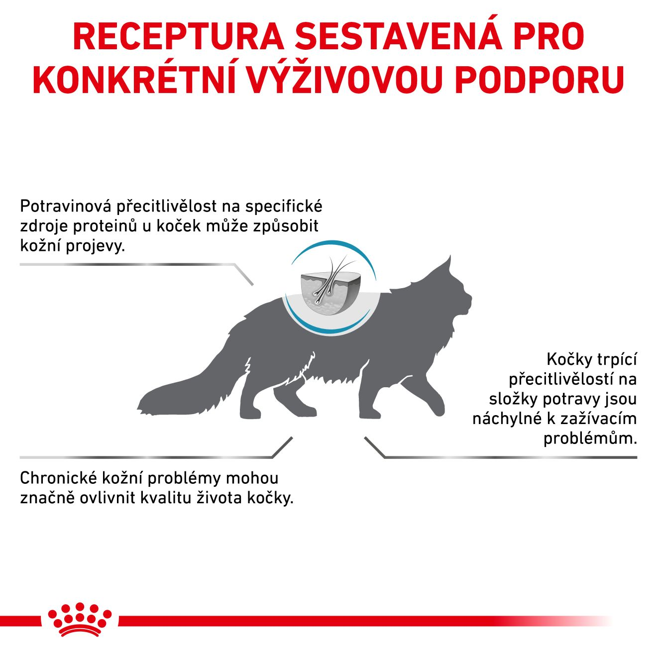 VHN Cat Hypoallergenic 