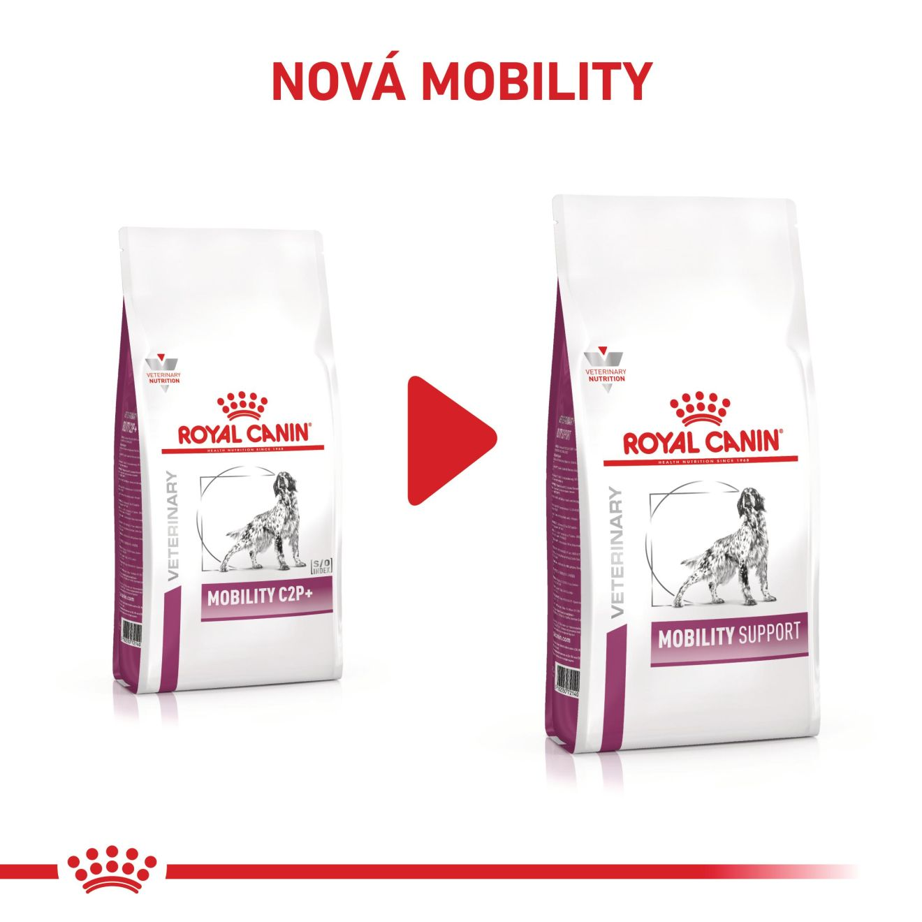 VHN Dog Mobility Support