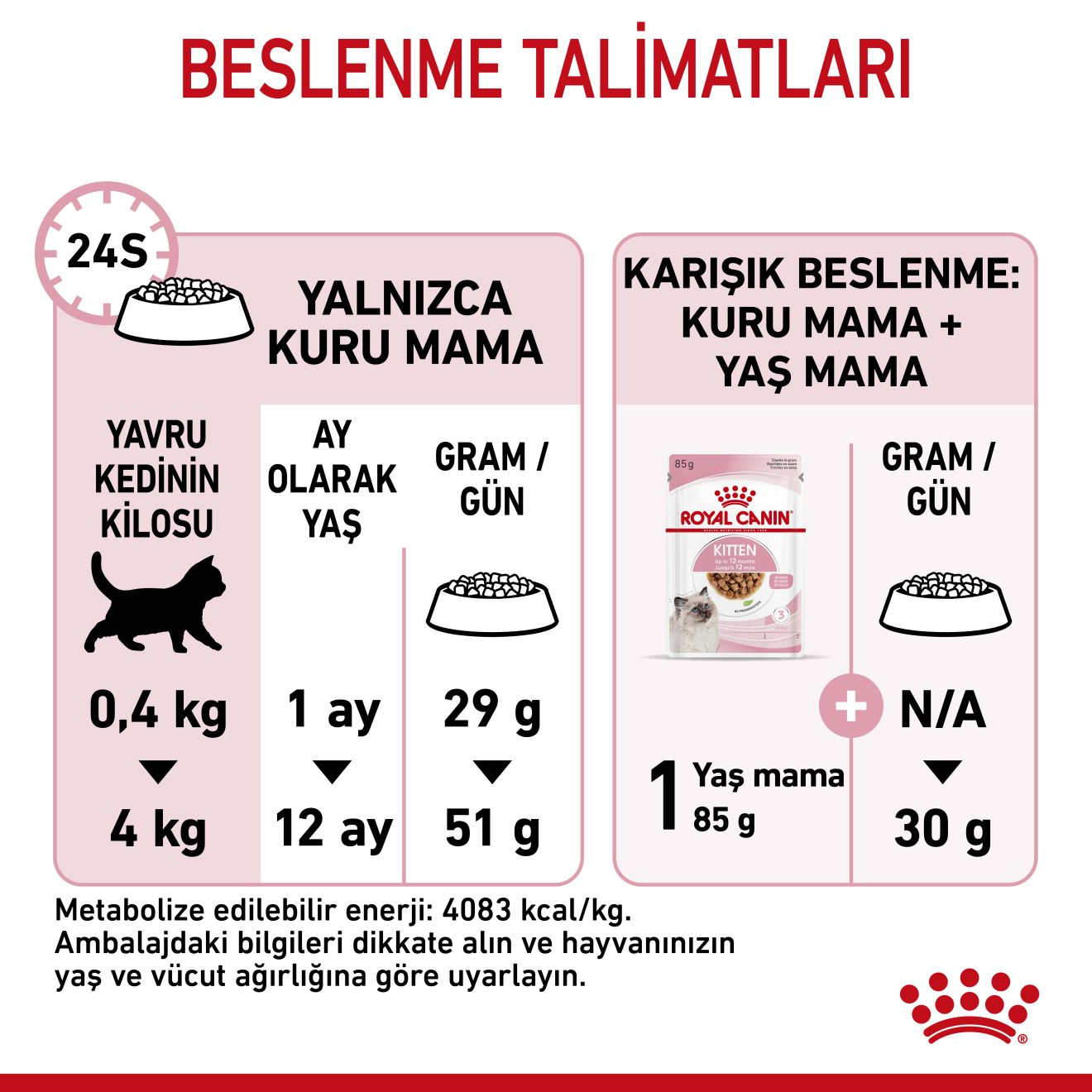 Kitten Yavru Kedi Kuru Maması
