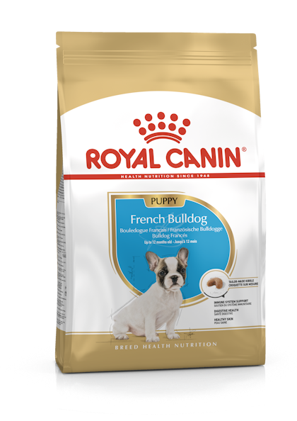French Bulldog Puppy Kering Royal Canin