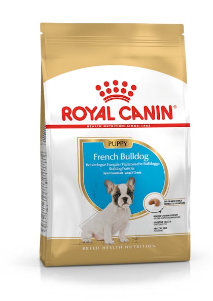 French Bulldog Puppy Trocken Royal Canin De