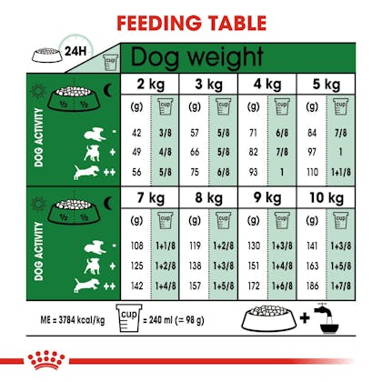 SHN-MiniIndoorAdult-CV-EretailKit-4