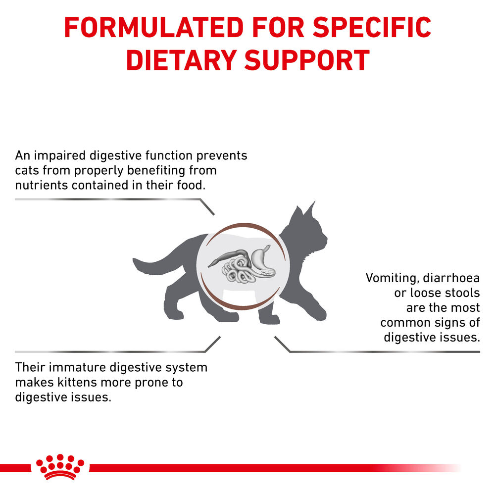 Gastrointestinal Kitten Royal Canin UK