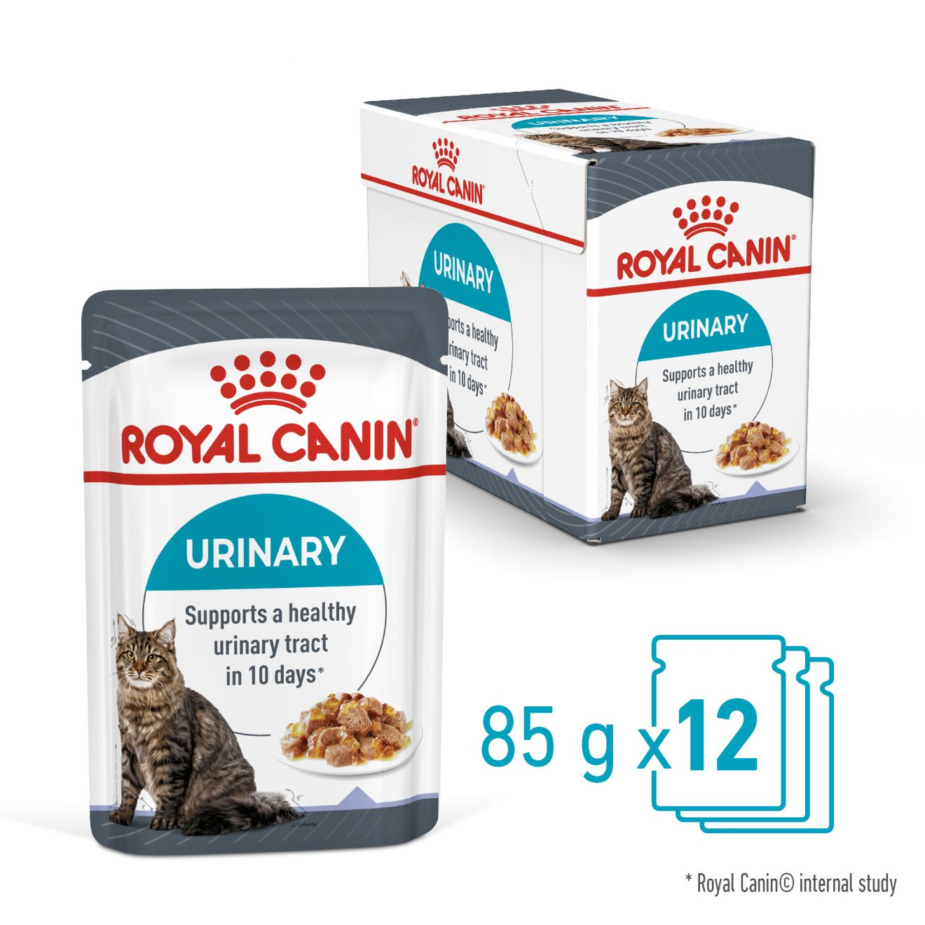 URINARY CARE in Gelee
