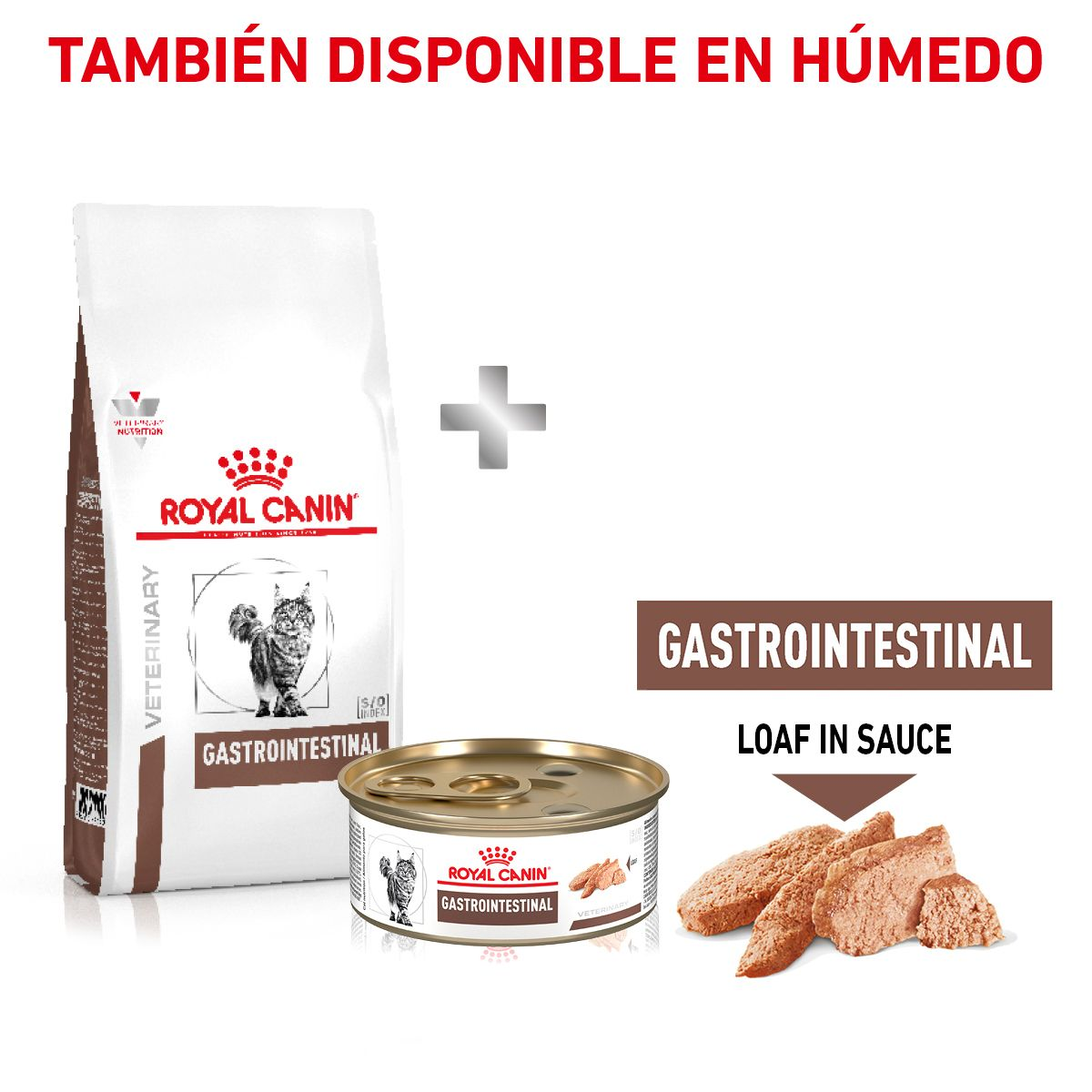 Gastro-Intestinal Feline