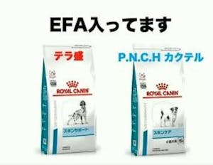 342-japan-local-ca-vet-efa