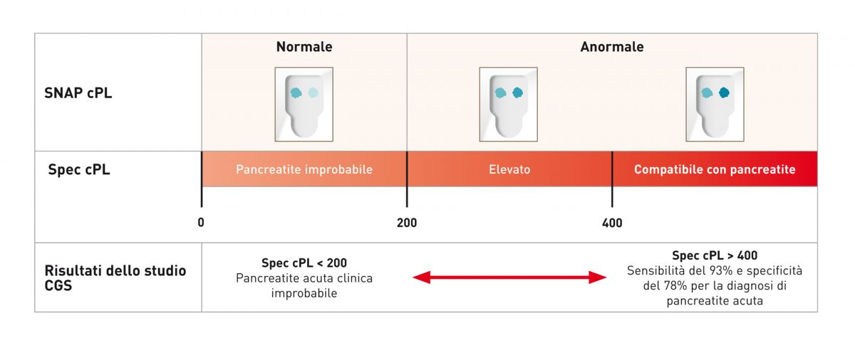 Un recente studio indipendente della Comparative Gastroenterology Society (CGS) ha confrontato i risultati ottenuti con lo SNAP test cPL, scoprendo che avevano un buon grado di correlazione con i risultati del test Spec cPL. 