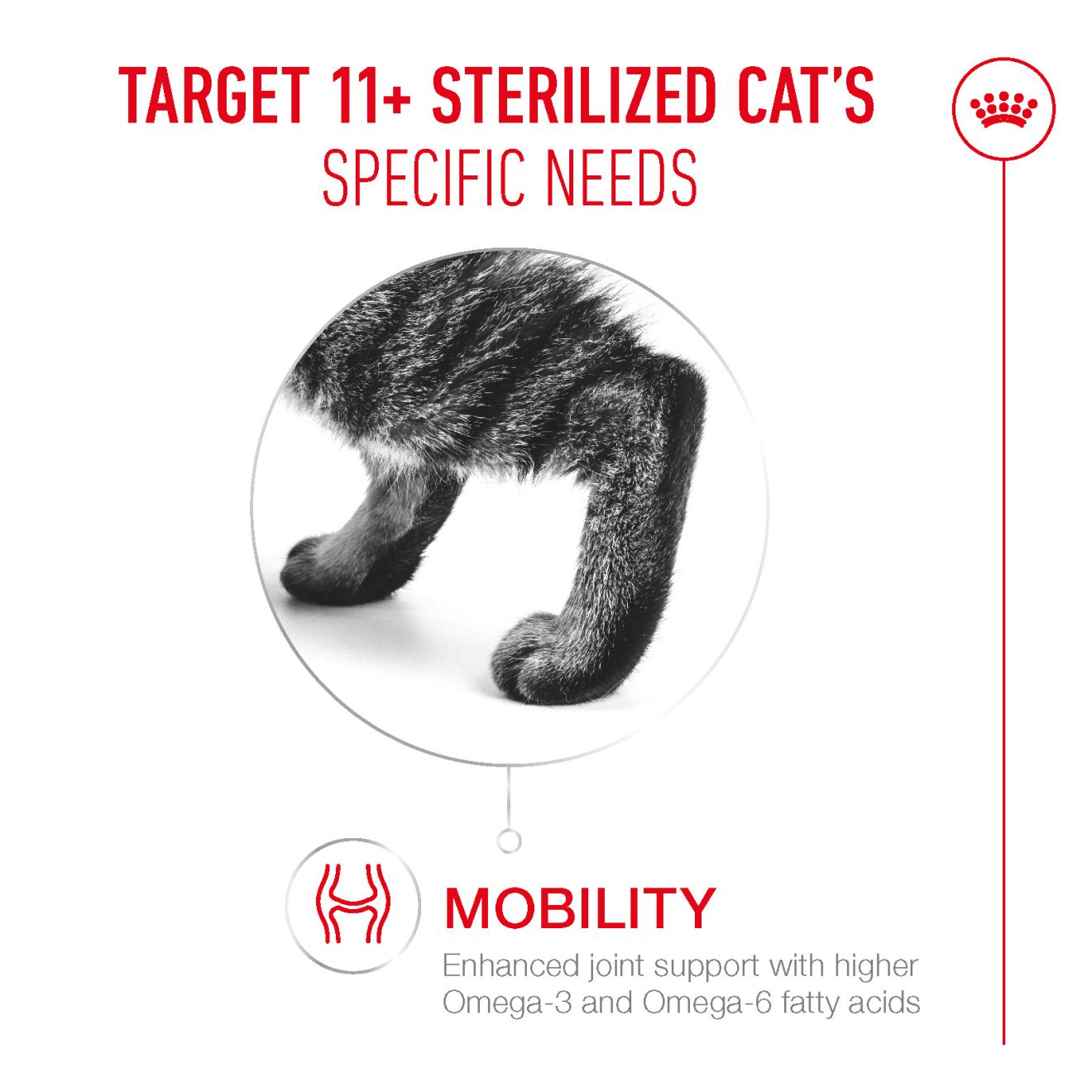 AGEING 11+ STERILISED