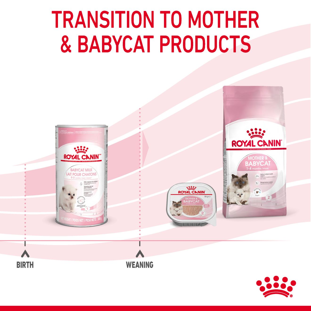 Babycat Milk