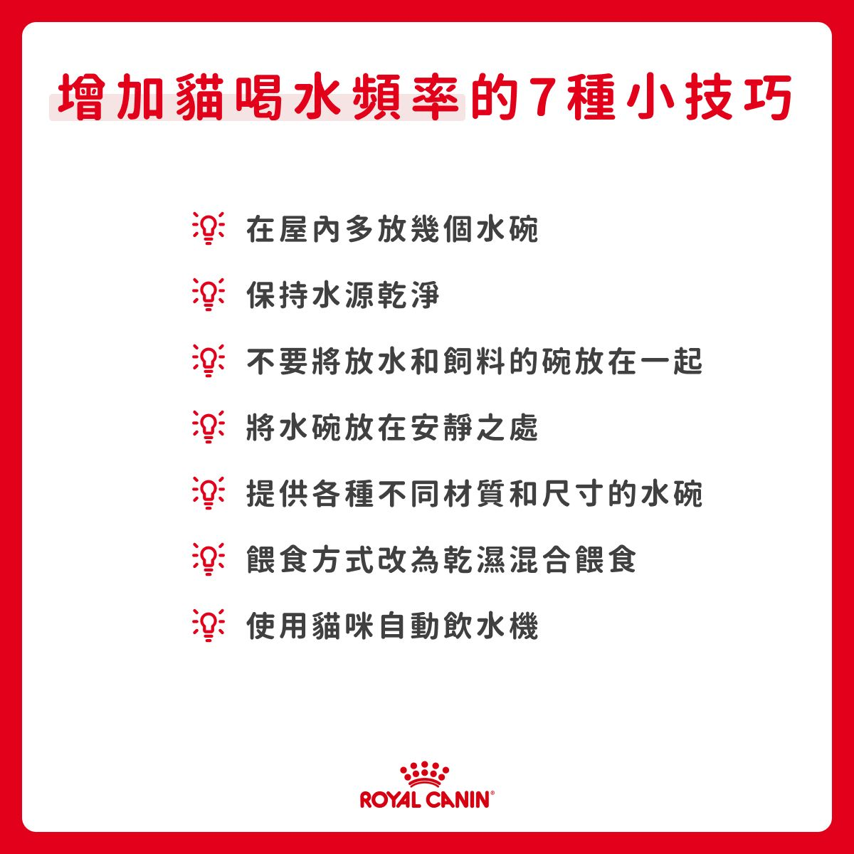 增加貓咪喝水頻率的七個小技巧