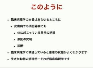 351-japan-local-ca-vet-skin