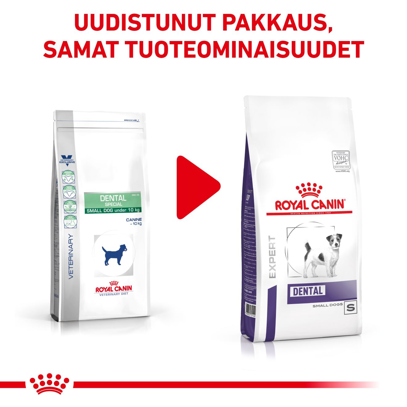 Health Dental Small Dog