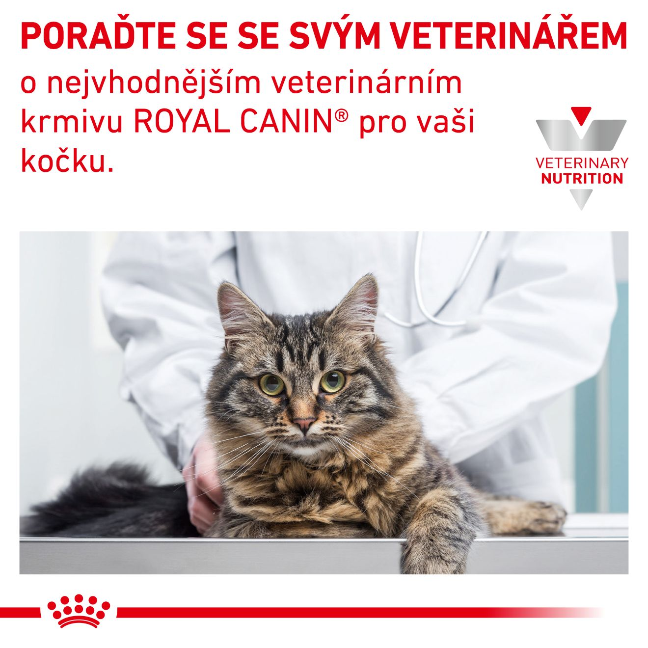 VHN Cat Hypoallergenic 