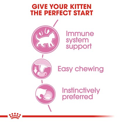 FHN-Wet-KittenInstinctiveJelly-CV-Eretailkit-2