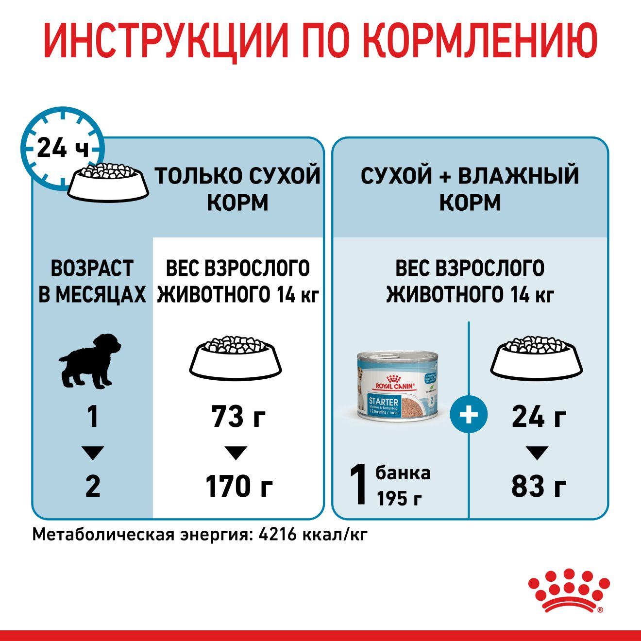 Starter Mother & Babydog - Medium