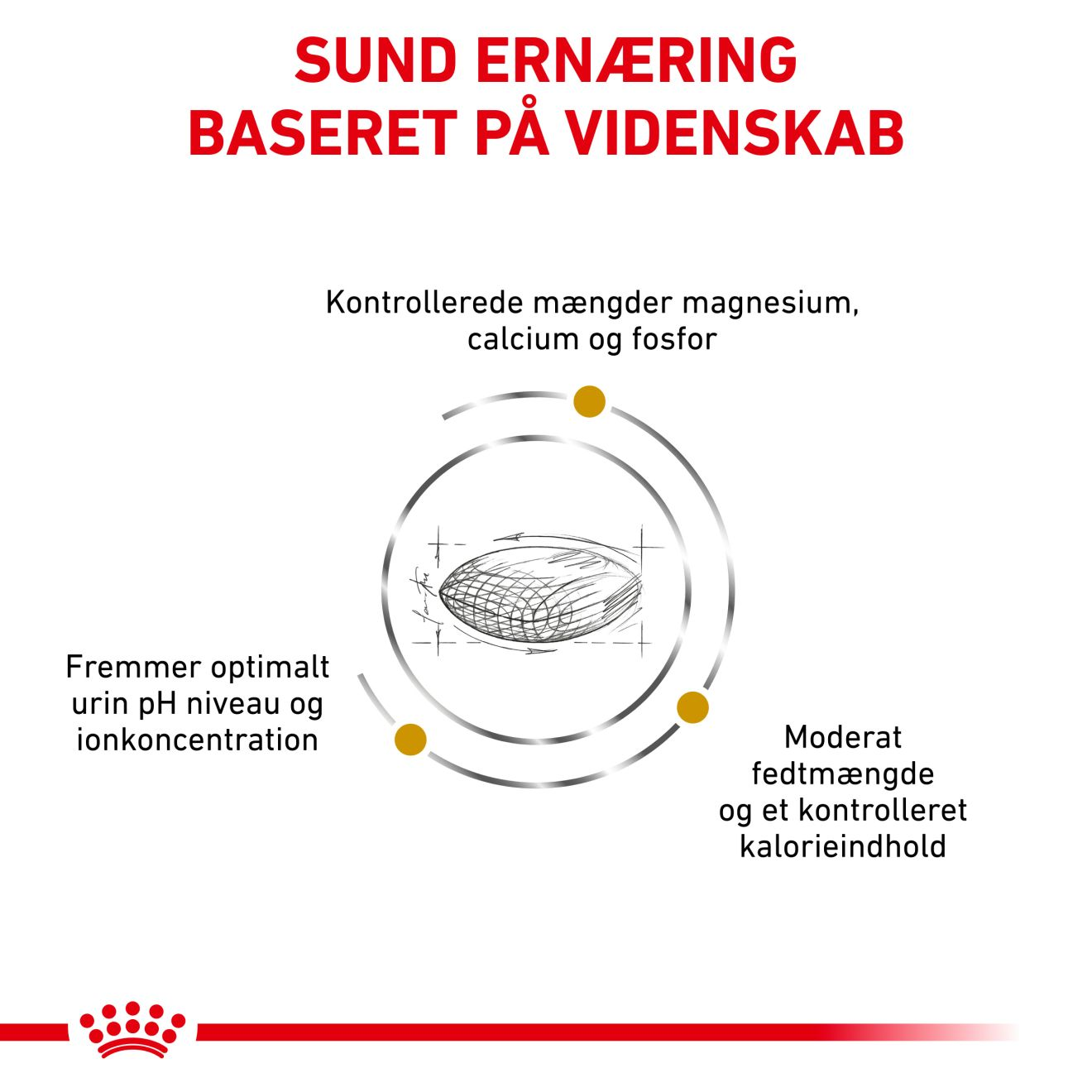 Urinary S/O Moderate Calorie